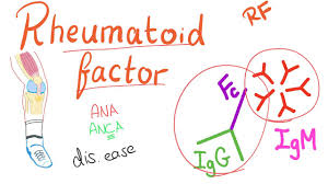 Rheumatoid Factor